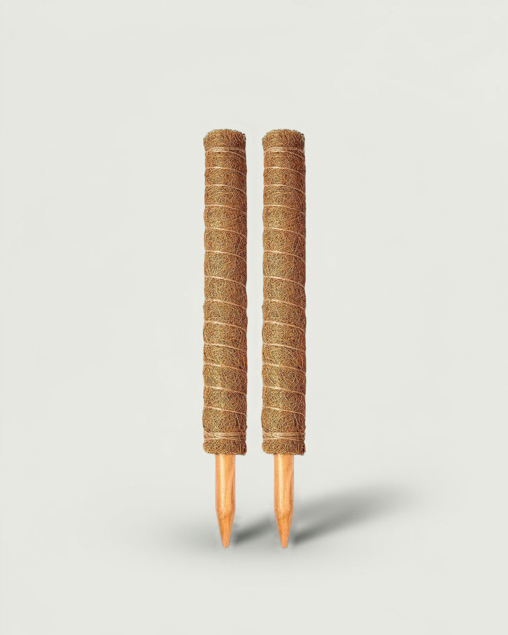 Two stackable coir moss poles, 17 in (43 cm) each, on a studio background