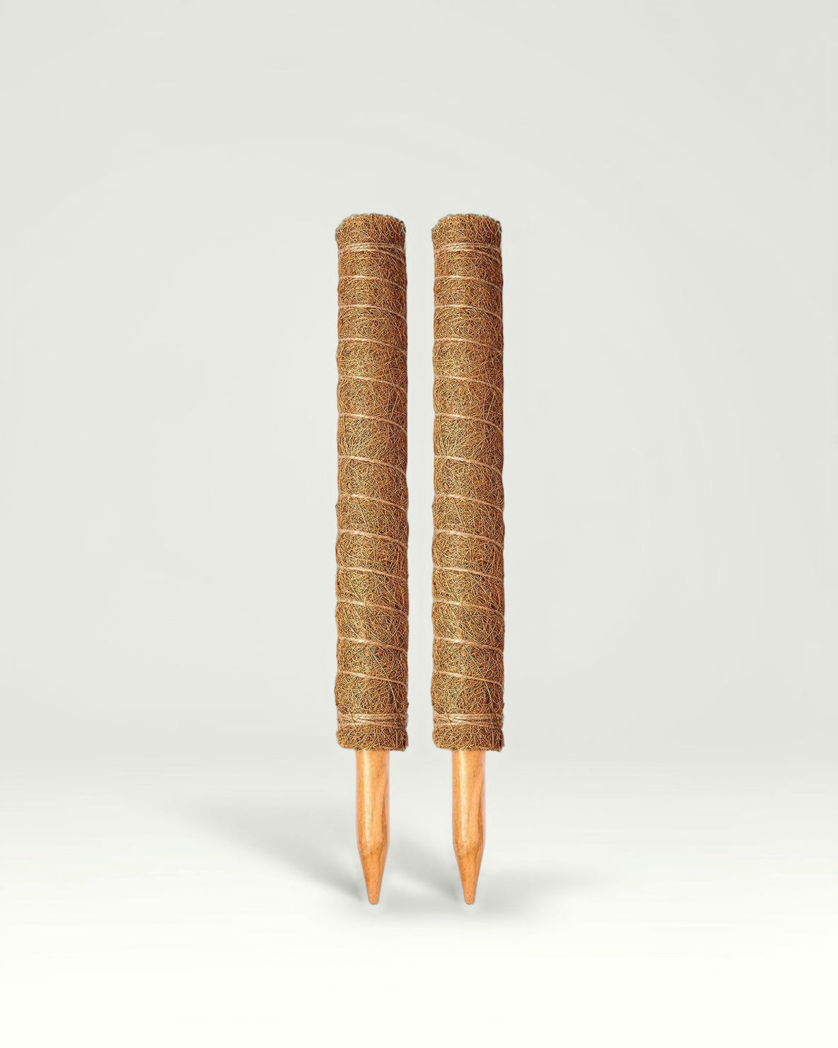 Two stackable coir moss poles, 21 in (53 cm) each, on a studio background