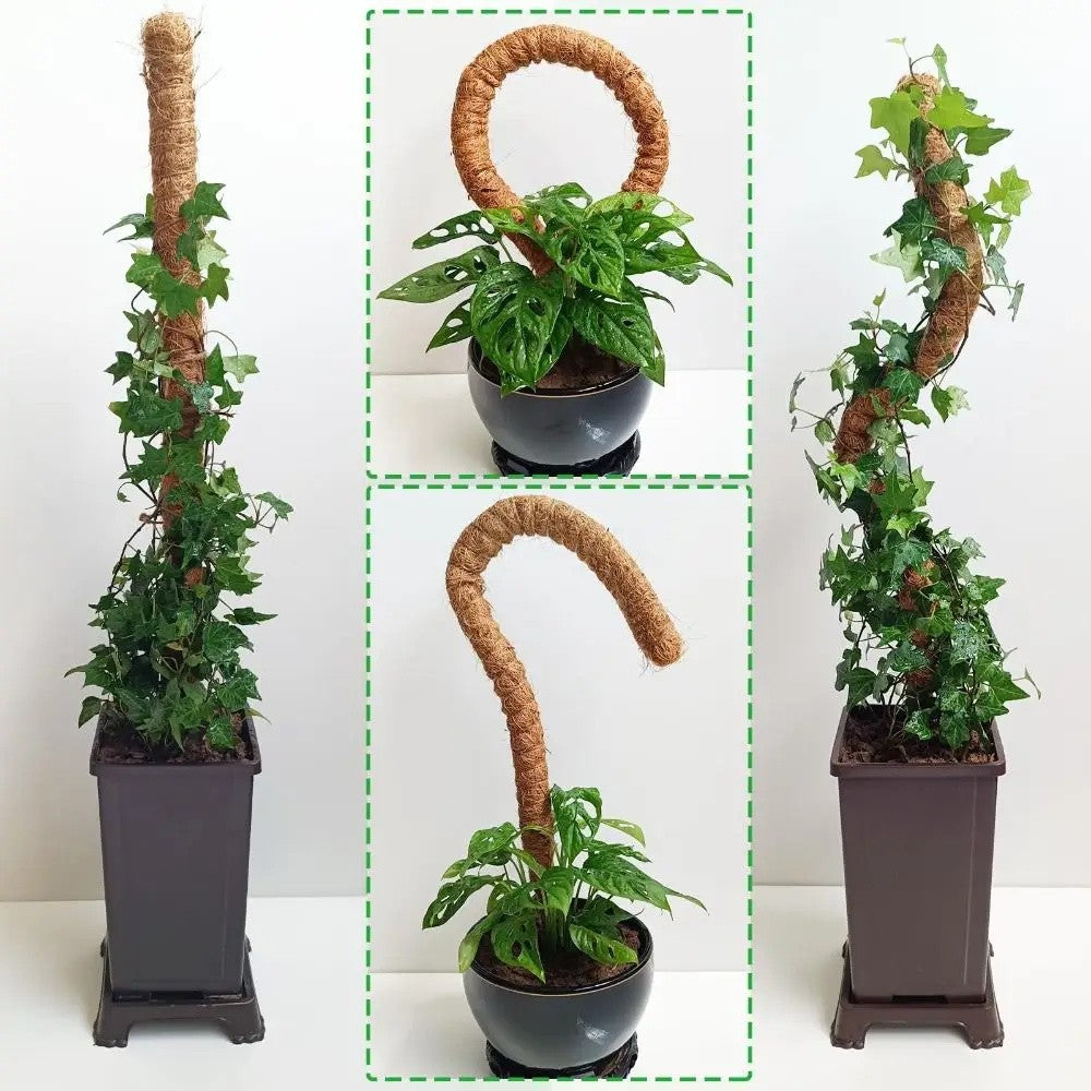 The bendable moss pole in three shapes: straight, as a loop and as a hook