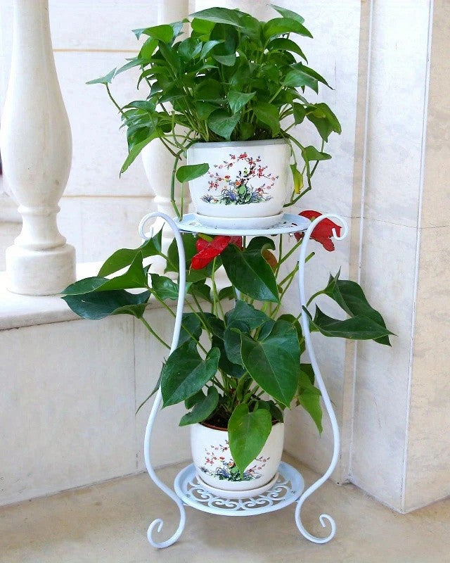 White two-tier metal plant stand with two potted plants by a window