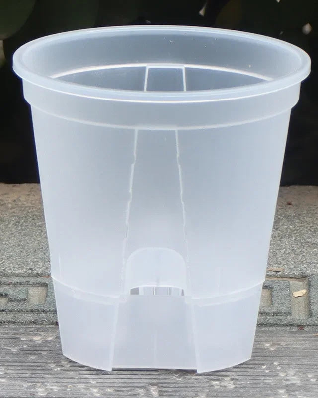 One clear self-watering pot standing in its water base