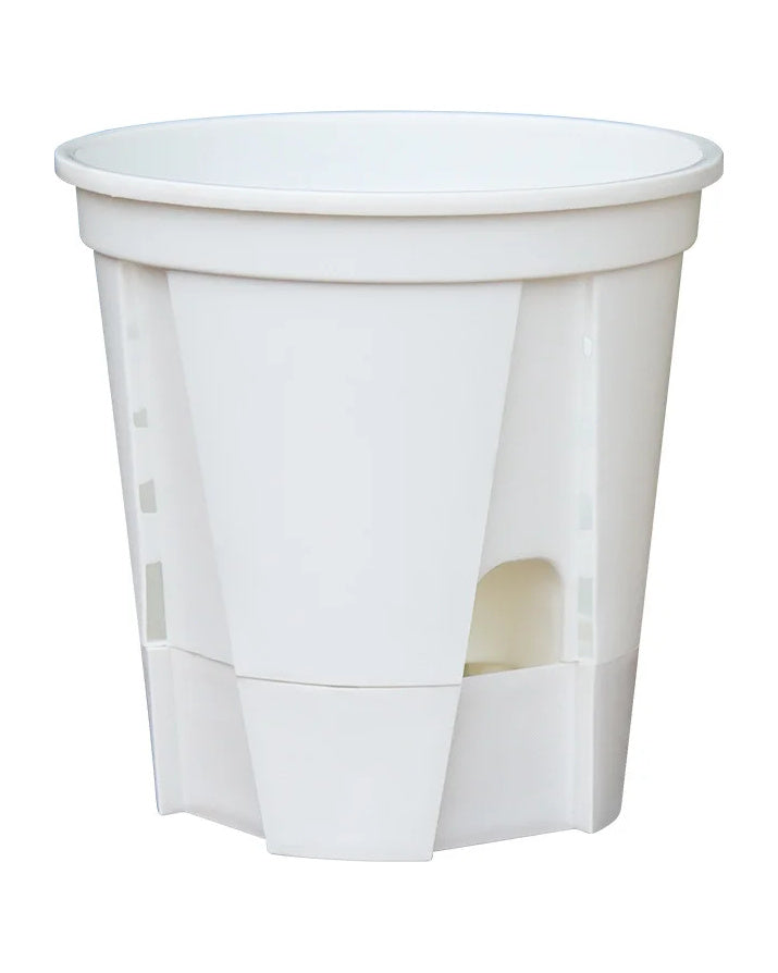 One white self-watering pot standing in its water base, on white
