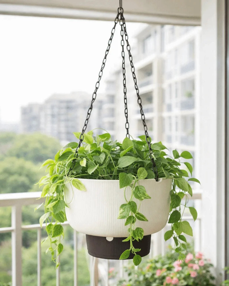 A white hanging planter with a trailing plant on a balcony